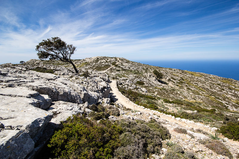 Archduke's Trail (Camí de s'Arxiduc)