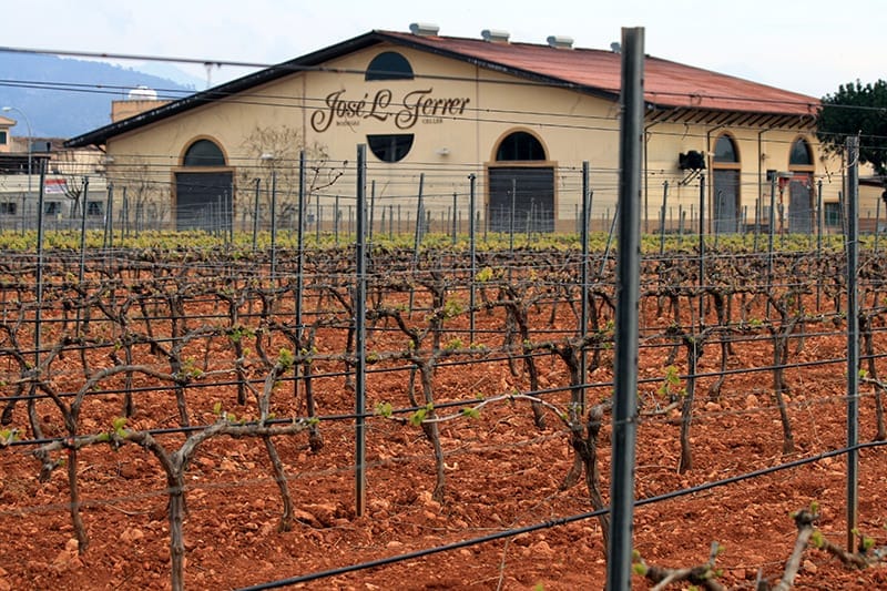 Bodegas José L. Ferrer