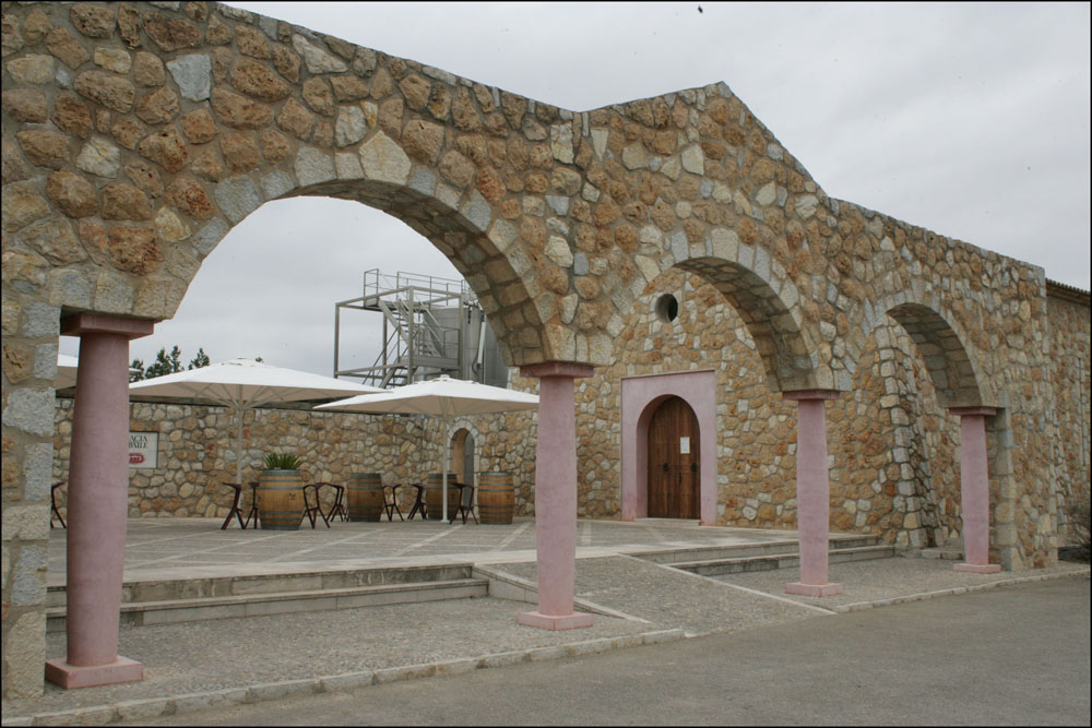 Mallorca Wine Tasting